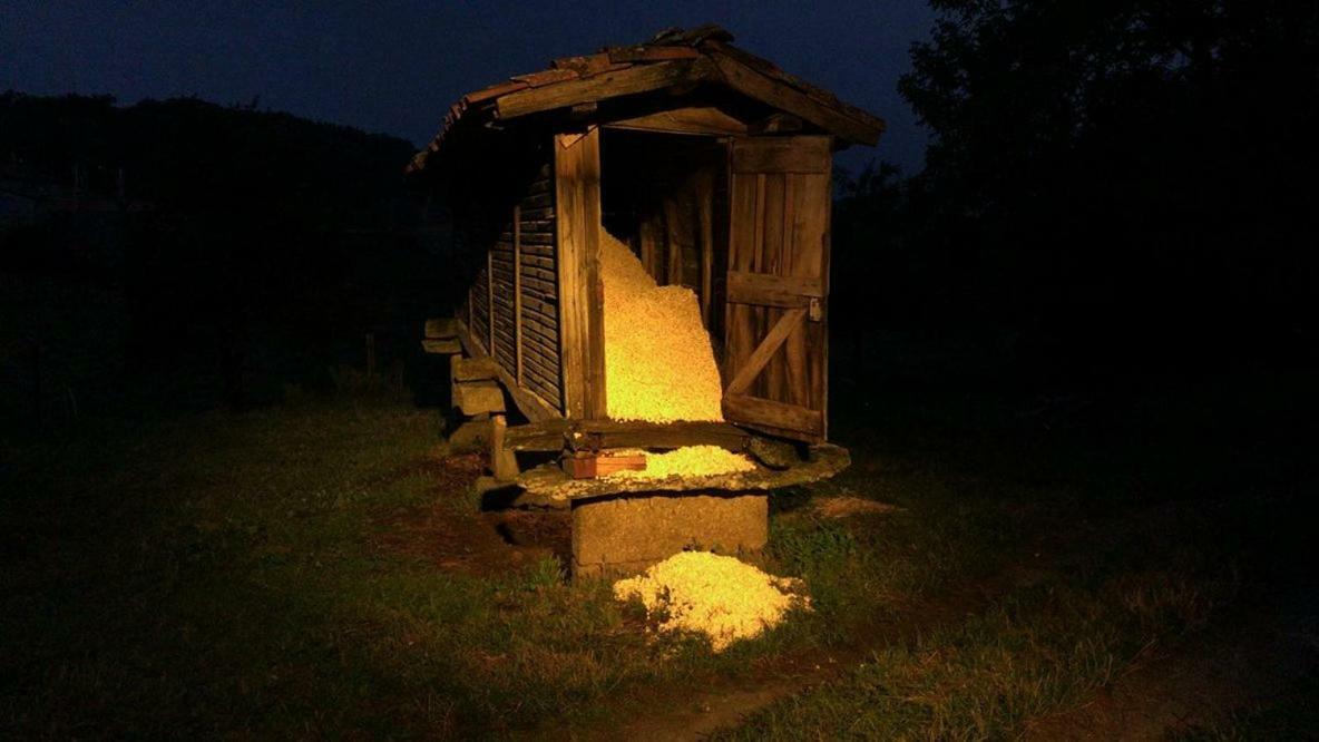 Casa Do Pacio Sabadelle Daire Lugo Dış mekan fotoğraf